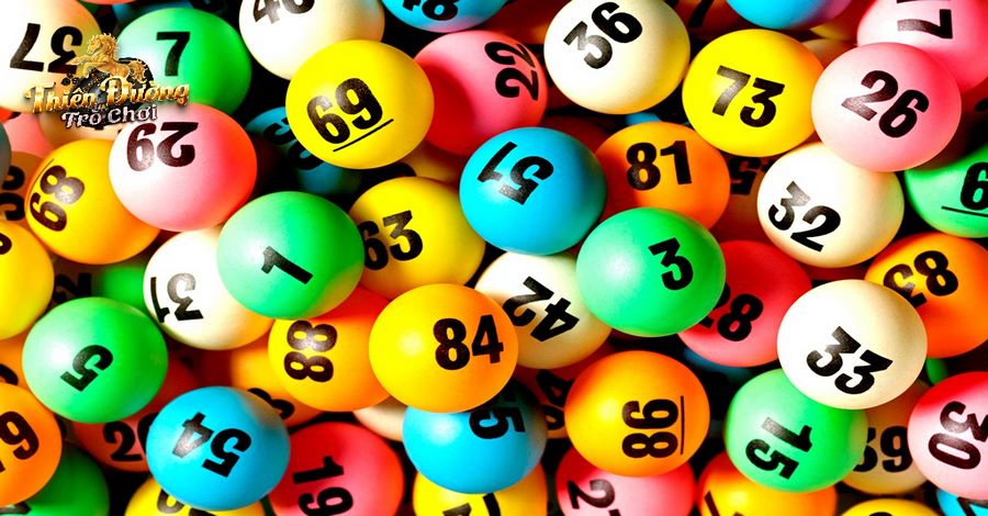 Chơi Lotto Bet 2023 là gì?
