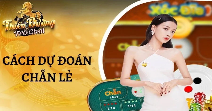 cách dự đoán chẵn lẻ trong xóc đĩa